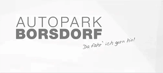 Borsdorf-Logo-5